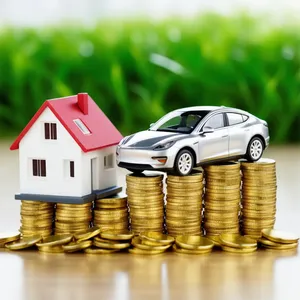 Loans & Insurance