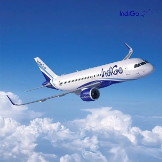 Thumbnail of Indigo Flights